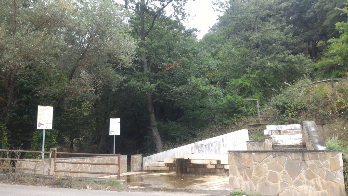 P_20160808_112254 .jpg
